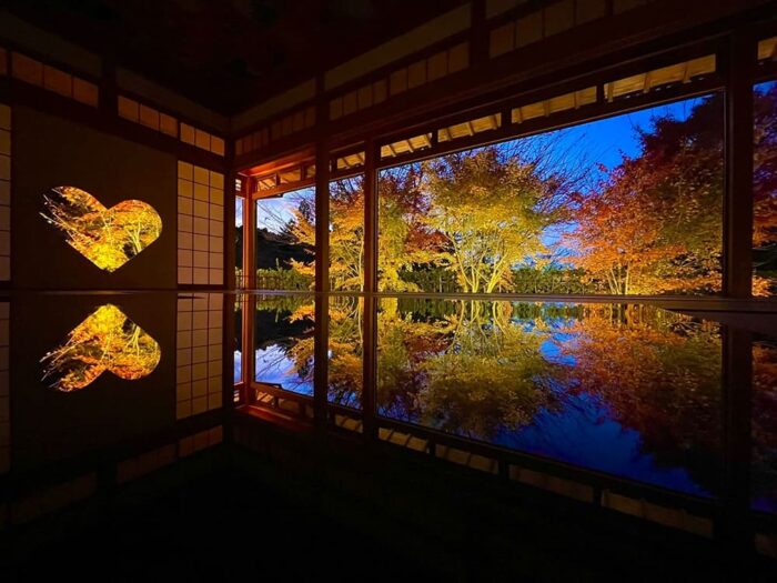 夜間特別拝観紅葉ライトアップ「観紅会」