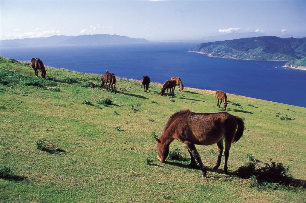 寒くなるほど、ひなた宮崎が深まる。宮崎県の“秋冬ならでは”観光スポット徹底ガイド画像3