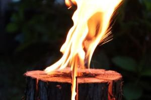 フラワーイルミネーション2025　スウェーデントーチで たき火を楽しもう！