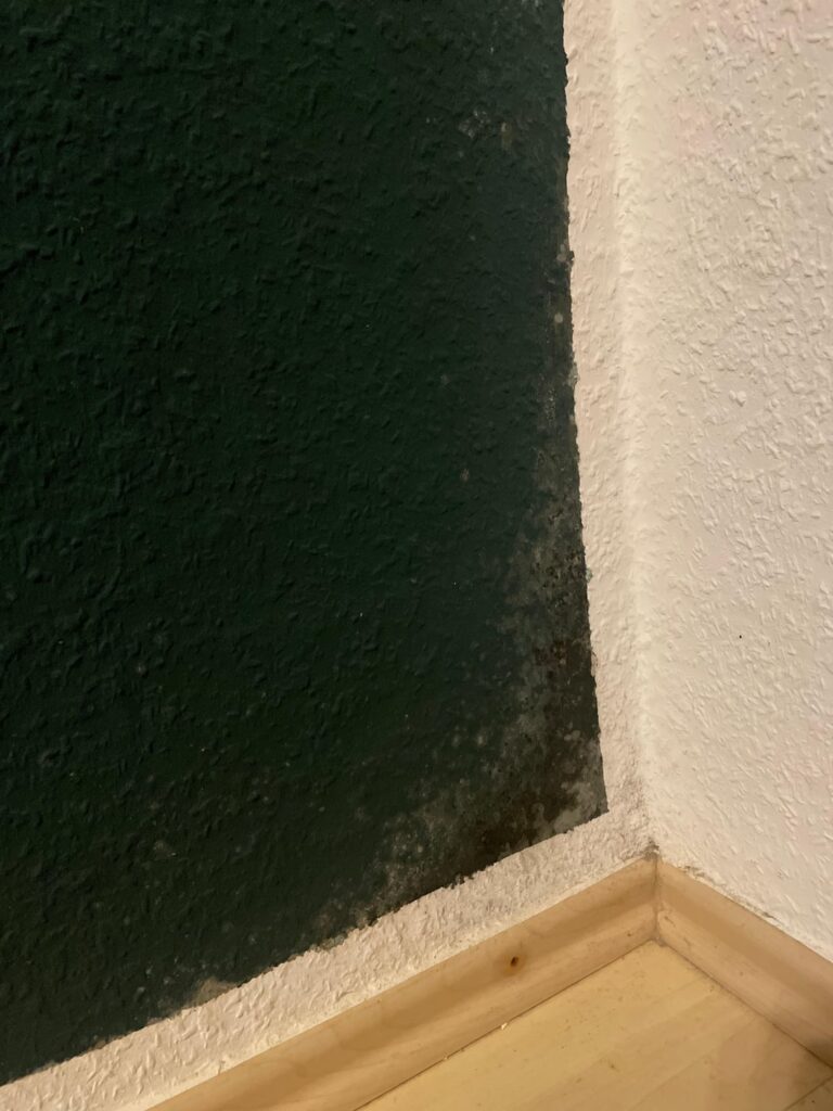 型