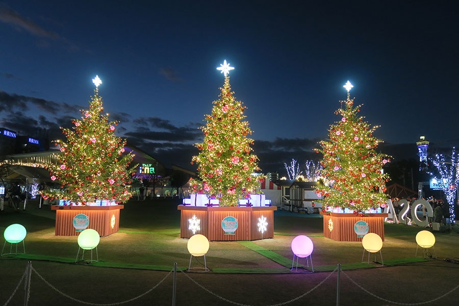 『クリスマスマーケットin大阪 てんしば2025』のクリスマスツリー（11月28日／大阪市天王寺区）