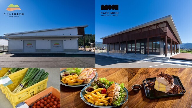 （プレスリリース）福井県の‟勝山産”を支える新拠点が誕生！DMOが運営する「かつやま青果市場」および併設カフェ「CAFE MOOI Veggies＆Sweets」11月7日(金)グランドオープン｜ニフティニュース