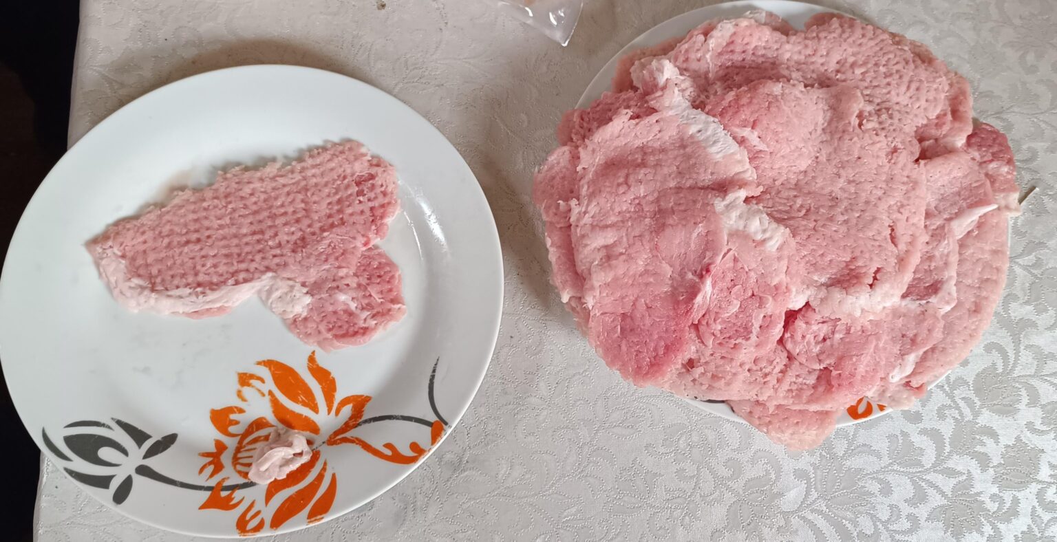 昼食の準備中に偶然リトアニアに遭遇