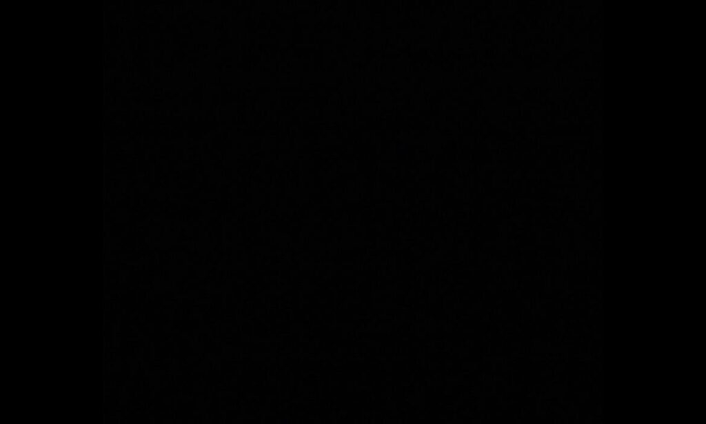 こちらは午後5時の愛犬との散歩の写真です。楽しむ！ 💀💀