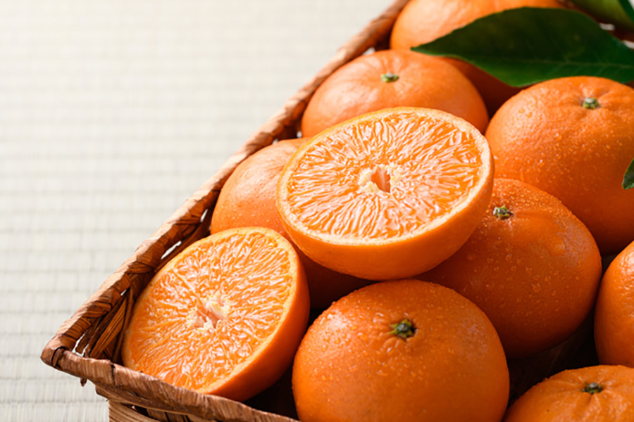 『和歌山マルシェ』に並ぶ商品イメージ