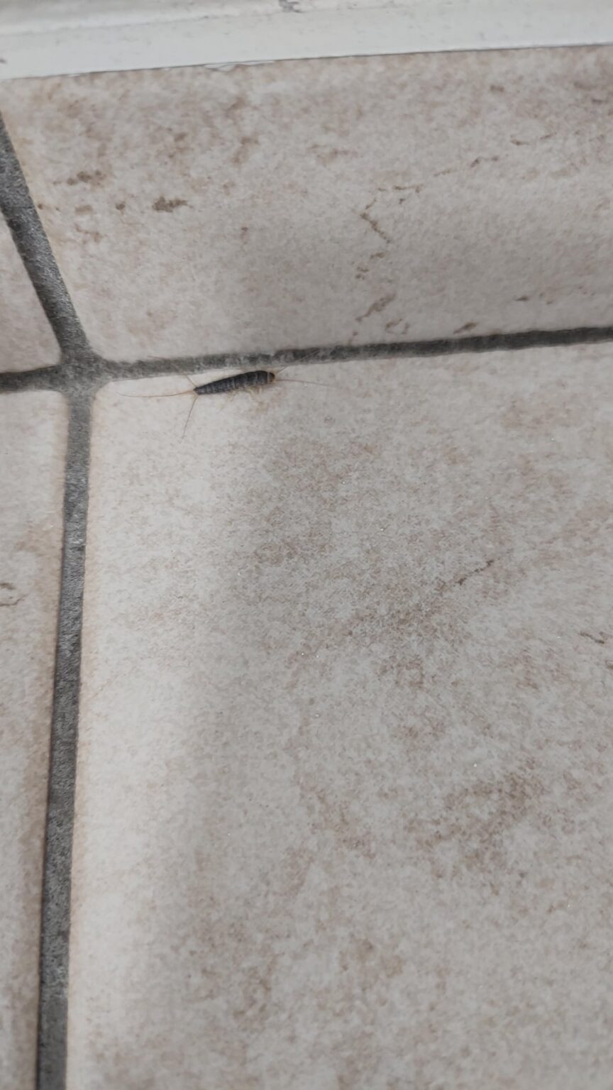 これは何ですか？