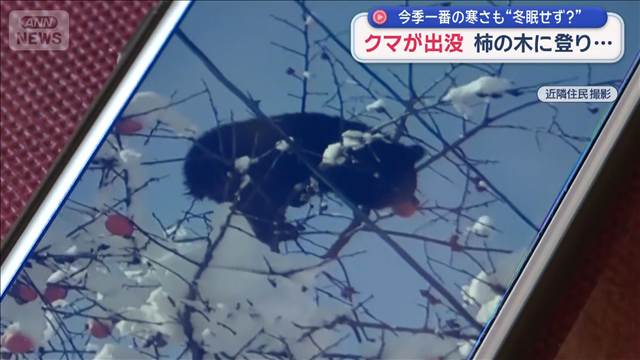 みんながカメラマン