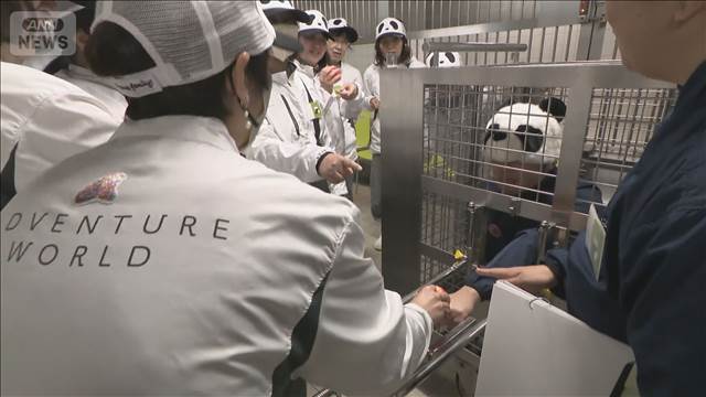 パンダ返還の白浜町で新たな試み飼育員体験ツアー開始“アフターパンダ”企画広がる パンダ返還の白浜町で新たな試み飼育員体験ツアー開始“アフターパンダ”企画広がる