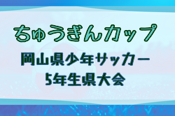 2025年度 ちゅうぎんカップ 第21回岡山県少年サッカー5年生大会岡山県大会 大会概要掲載！1/11.18開催！組合せ募集 | Green Card ニュース