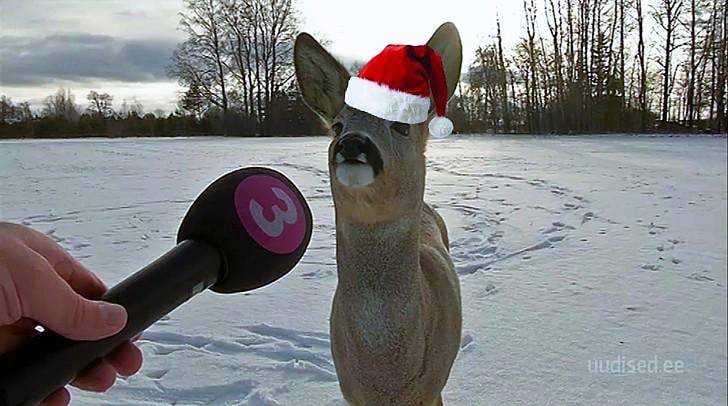 メリークリスマス！