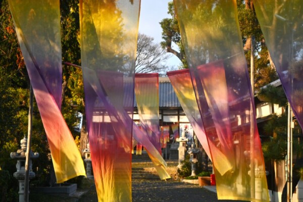 玉田神社参道のカーテン　2025年12月7日　撮影：MKタクシー