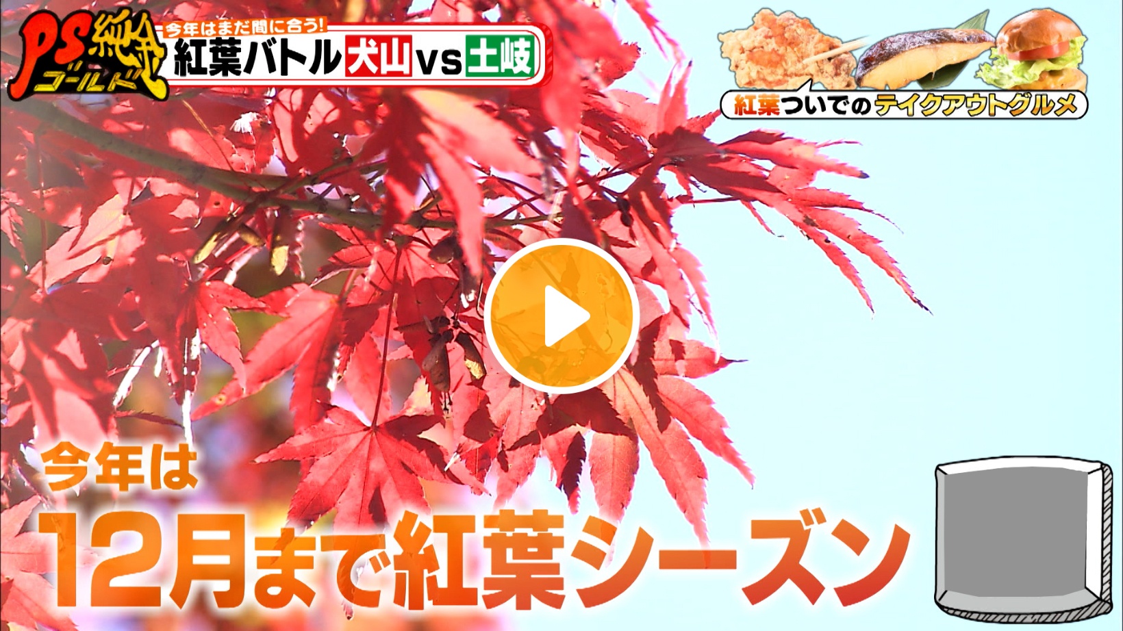 Locipoで動画を見る
