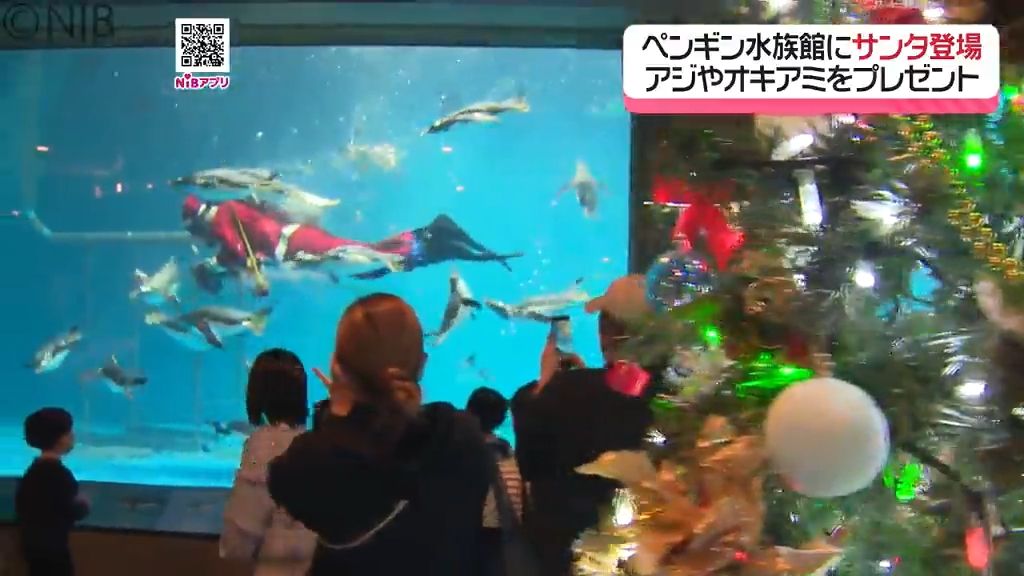 水族館の水槽にサンタが登場『ペンギンとサンタダイバーのふれあいランチタイム』《長崎》