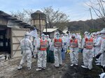 防疫処置を行う関係職員ら＝２日午前、米子市内（鳥取県提供）
