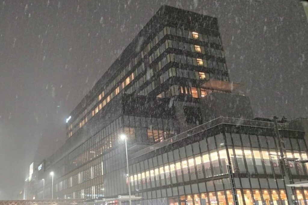 【11月の様子】青森で撮影されたまさかの光景に目を疑う　「容赦ない雪」「こんなに積もったの？」 | LIMO | くらしとお金の経済メディア