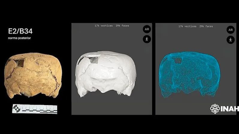 1400年前の「立方体型の頭蓋骨」がメキシコの遺跡で発見される - GIGAZINE