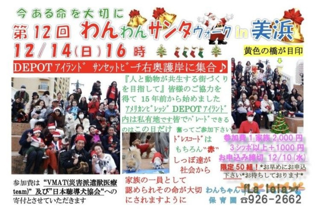 【北谷町】わんちゃんとアメリカンビレッジをパレード『第12回 わんわんサンタウォーク in 美浜』2025年12月14日(日)開催♪【美ら浜つーしん】(沖縄タイムス)|dメニューニュース(NTTドコモ) 【北谷町】わんちゃんとアメリカンビレッジをパレード『第12回 わんわんサンタウォーク in 美浜』2025年12月14日(日)開催♪【美ら浜つーしん】