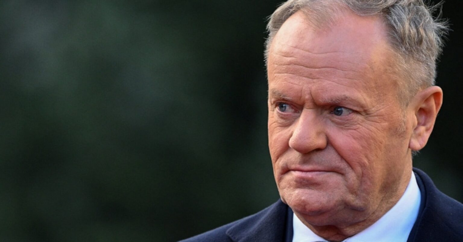 ポーランド初の原発建設に国庫補助、ＥＵが承認　36年完成予定 | ロイター