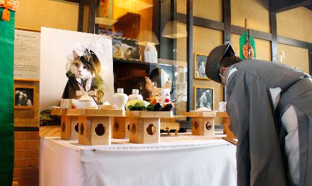 ニタマ駅長社葬、別れ惜しむ 和歌山電鉄貴志駅でファンら | 全国のニュース | 福井新聞ONLINE