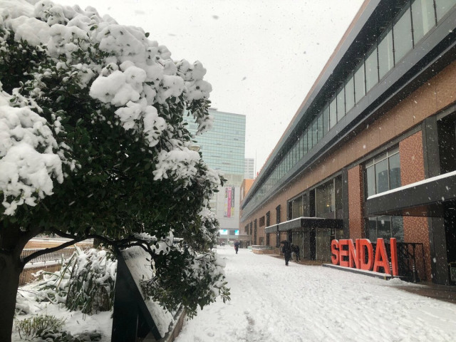 宮城県内広範囲で積雪 午前8時で大崎市古川で8㎝、仙台で7㎝、白石で5㎝　｢次第に雨に変わり昼過ぎにはやむ｣も低気圧急発達で15日にかけ強風・暴風に注意・警戒