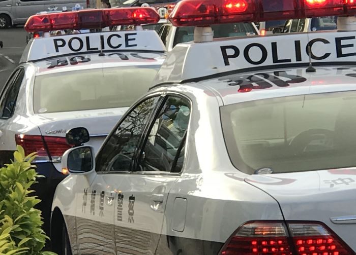 逃走のオオトカゲ発見、付近工場のパイプ内　体長1・2mで鋭い爪　沖縄・うるま