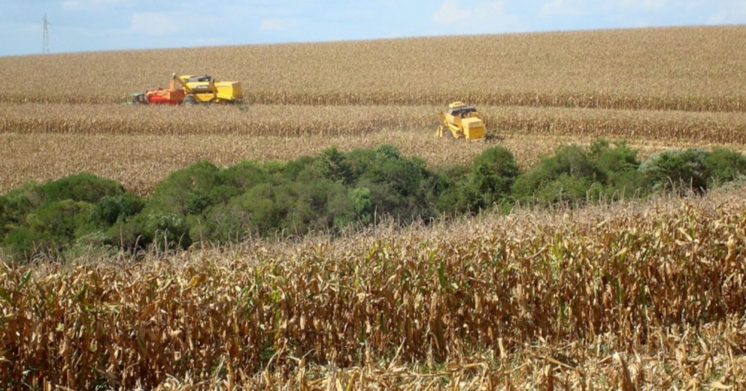 ＥＵ、農産物輸入規制強化で暫定合意　メルコスルＦＴＡ批准に向け | ロイター