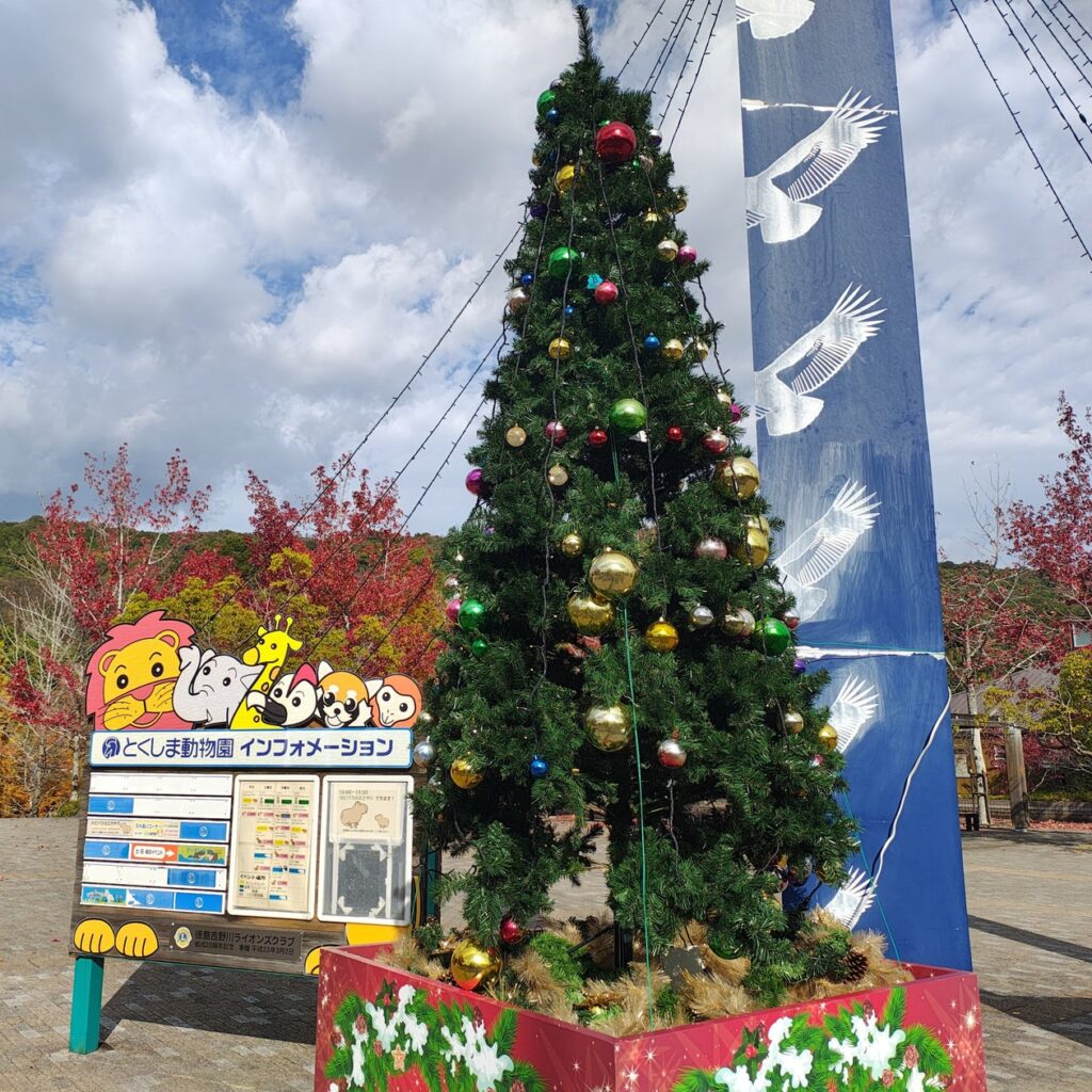 【徳島市】とくしま動物園 STELLA PRESCHOOL ANIMAL KINGDOM　年末年始のイベントを開催！