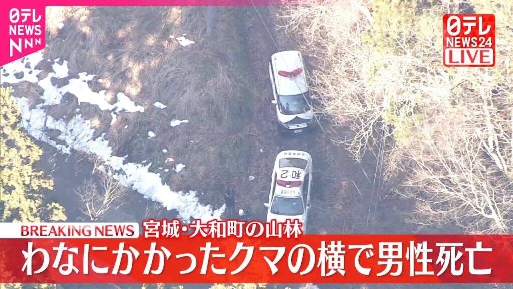 【速報】わなにかかったクマの横で男性死亡　宮城・大和町