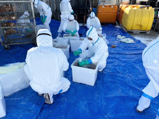 鳥インフルエンザ発生 兵庫・姫路市の養鶏場、24万羽殺処分・防疫措置完了