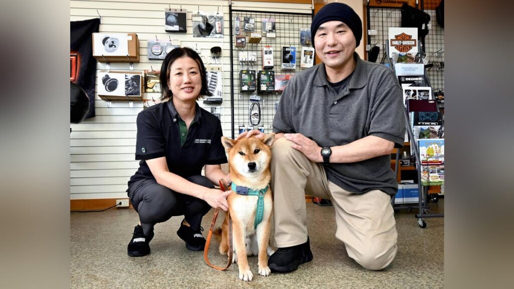 島根県 出雲大社 「あの犬が助かった場所」小さな幸せの巡礼地に…飼い主の関係にも変化「心が通じた気がする」 : 読売新聞