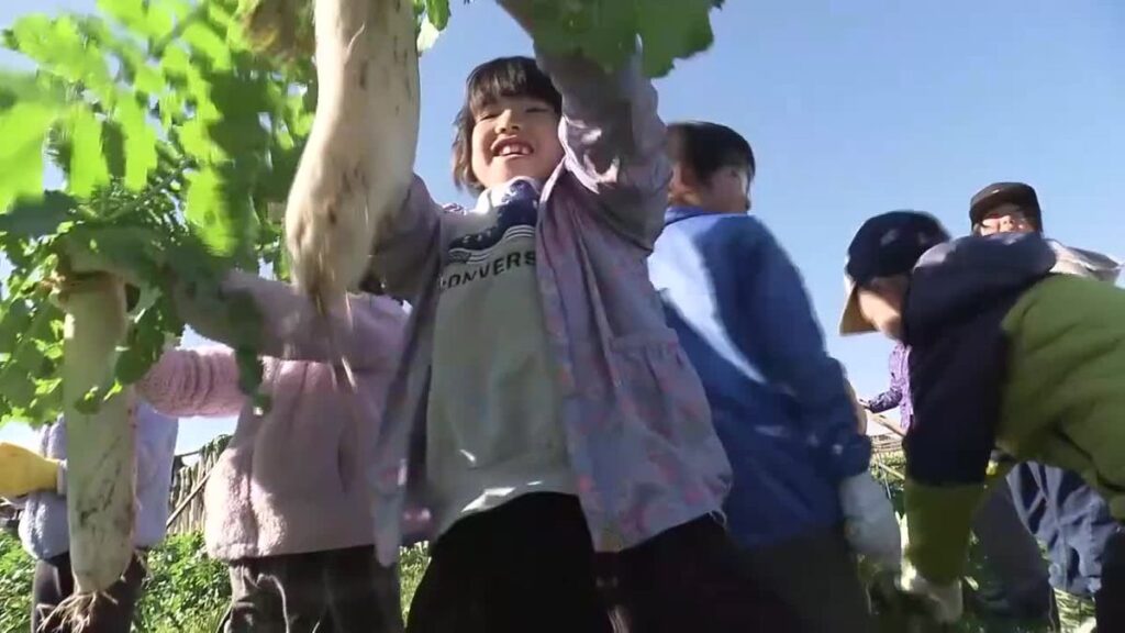 共有