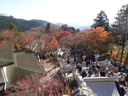11月30日阿夫利神社下社