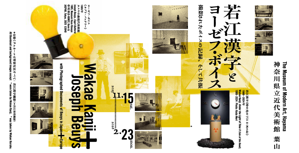 若江漢字とヨーゼフ・ボイス 撮影されたボイスの記録、そして共振