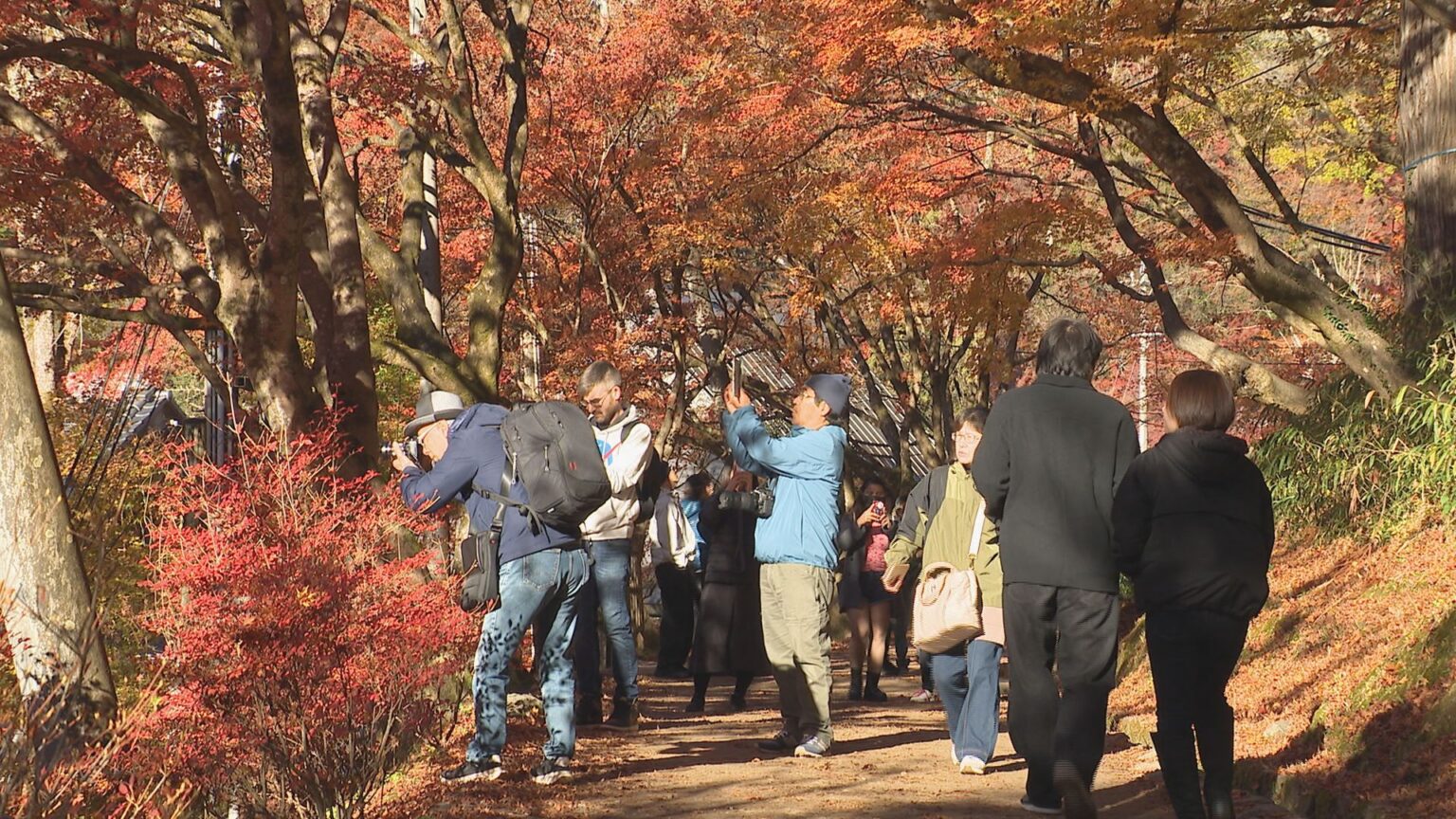 日中対立で中国人観光客に変化は?ことしは特に色づきが良い「香嵐渓」 紅葉を楽しめるのはあと一週間ほど 愛知・豊田市(CBCテレビ) – Yahoo!ニュース 日中対立で中国人観光客に変化は?ことしは特に色づきが良い「香嵐渓」 紅葉を楽しめるのはあと一週間ほど 愛知・豊田市(CBCテレビ) - Yahoo!ニュース