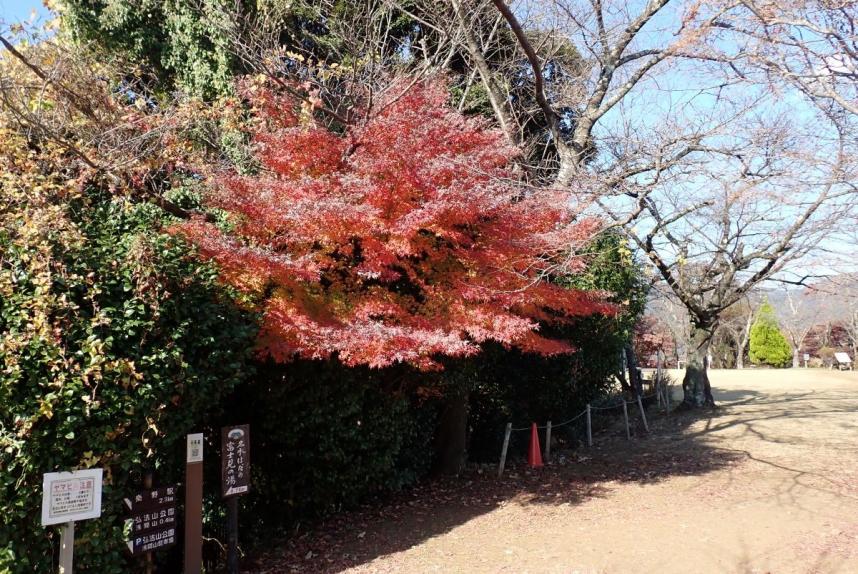 12月1日権現山秦野市山頂