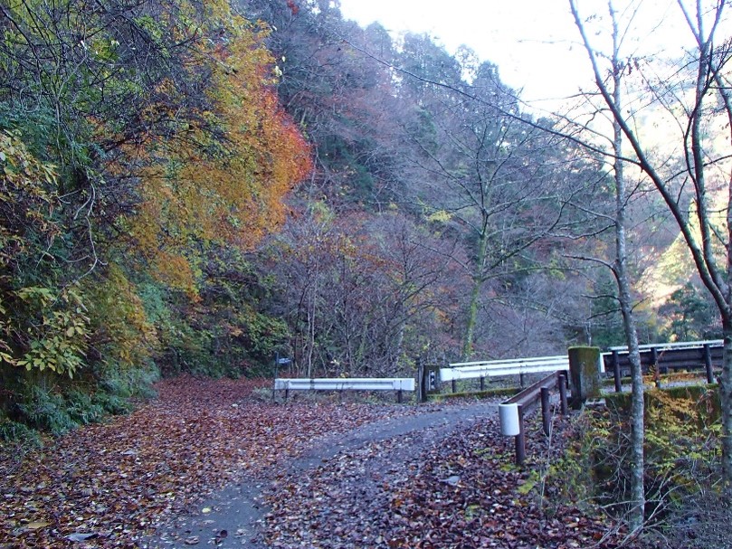 12月1日丹沢山塩水橋周辺