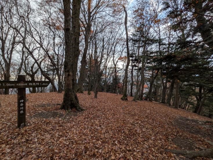 12月2日日辺室山山頂周辺散り始め