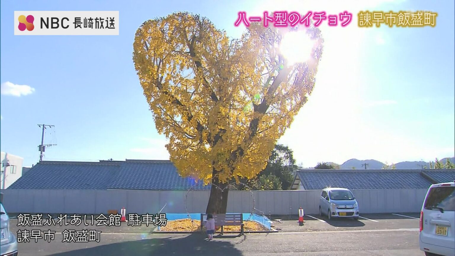 ”イチョウ” の映えスポット (1)イチョウ絨毯の喫茶店(長崎市)(2)ハート型のイチョウ(諫早市)(NBC長崎放送) – Yahoo!ニュース ”イチョウ” の映えスポット (1)イチョウ絨毯の喫茶店(長崎市)(2)ハート型のイチョウ(諫早市)(NBC長崎放送) - Yahoo!ニュース