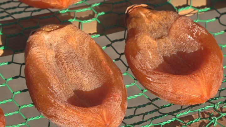 天候に恵まれ糖度が高い出来栄え　冬の特産 甲州百目の高級ころ柿　出荷始まる　甲州市・松里地区（UTYテレビ山梨） - Yahoo!ニュース