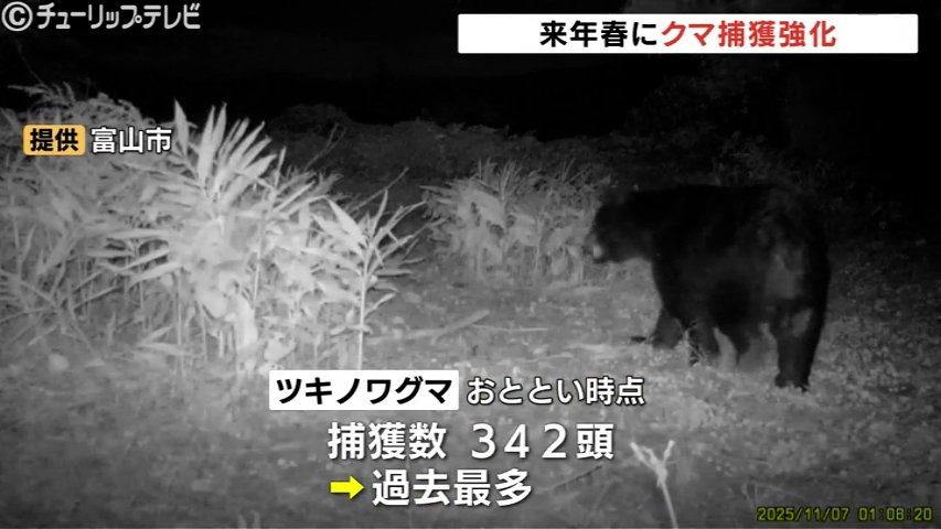 クマ対策強化へ 来年春、個体数管理のクマ捕獲を初導入 富山（チューリップテレビ） - Yahoo!ニュース