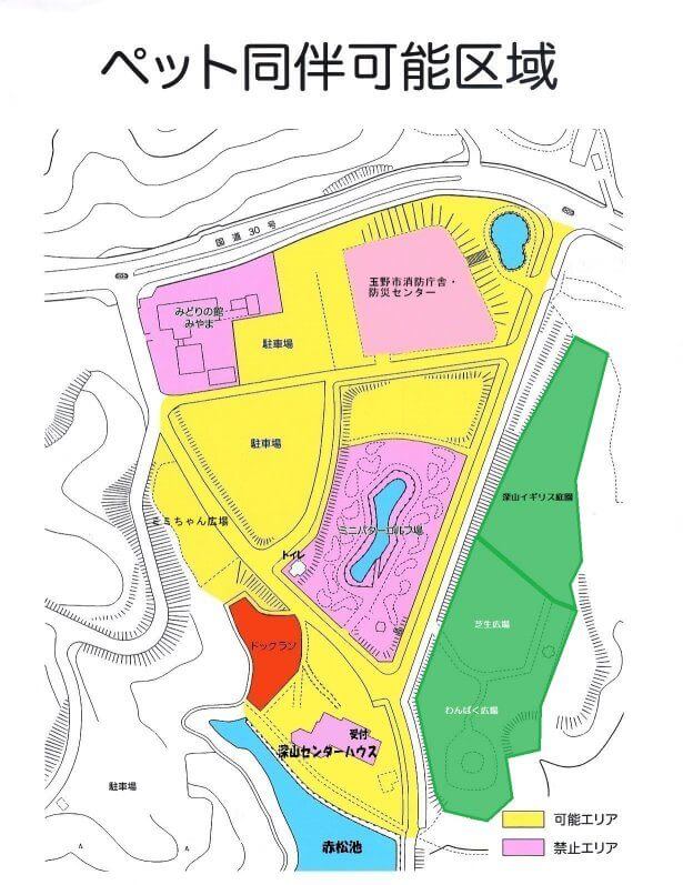 深山イギリス庭園　光のファンタジー2025　星降る聖夜の庭園さんぽ