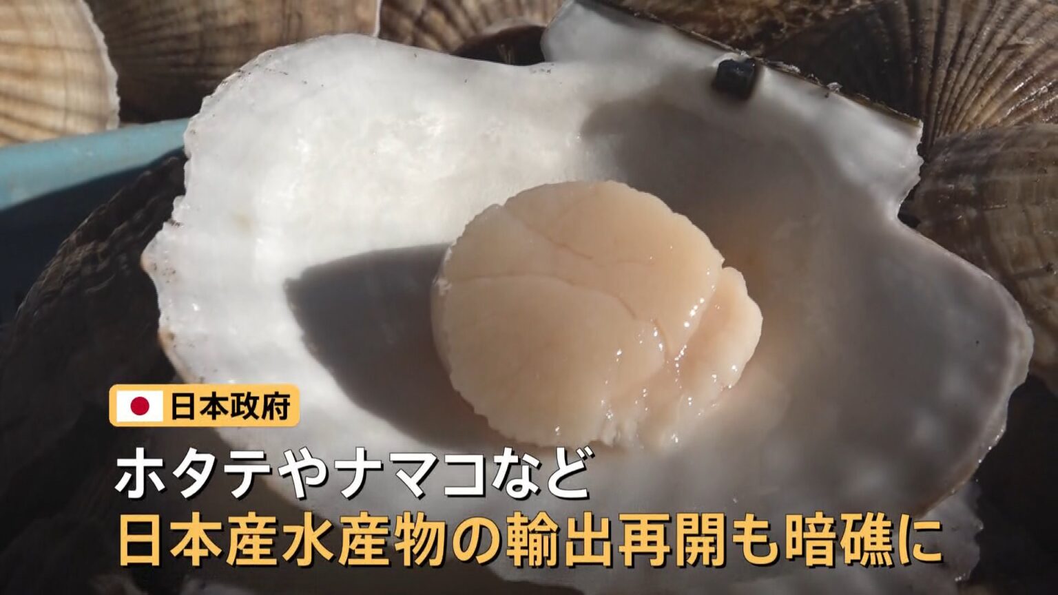 日中関係緊張の中、日本産水産物の輸出再開も再び暗礁に 台湾が“輸入規制撤廃”に踏み切った背景(TBS NEWS DIG Powered by JNN) 日中関係緊張の中、日本産水産物の輸出再開も再び暗礁に 台湾が“輸入規制撤廃”に踏み切った背景(TBS NEWS DIG Powered by JNN)