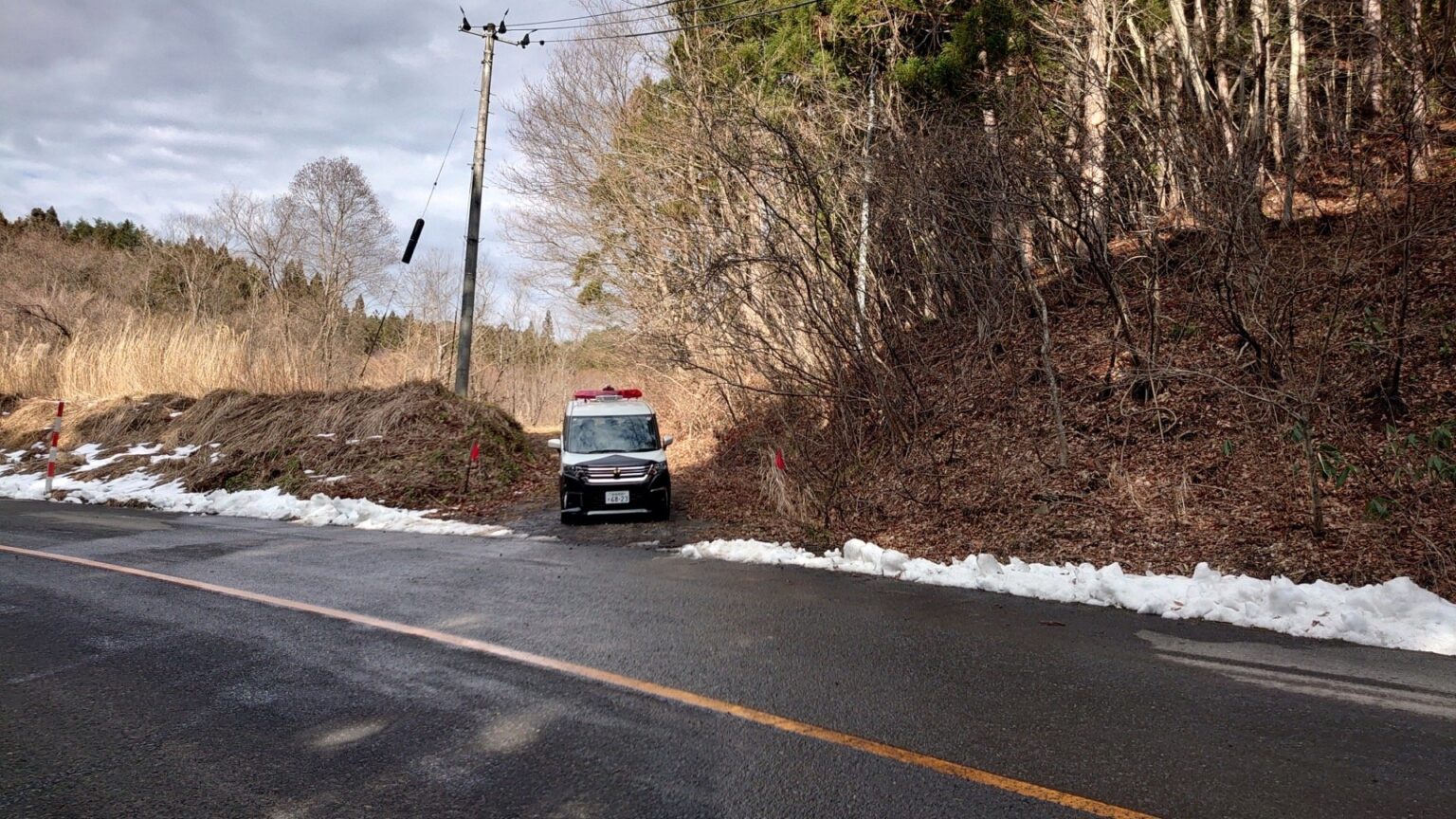 クマに襲われたか 男性死亡 頭部に外傷 イノシシ用わなにクマがかかり近くに男性倒れているのが見つかる　宮城・大和町吉田の山林（tbc東北放送） - Yahoo!ニュース