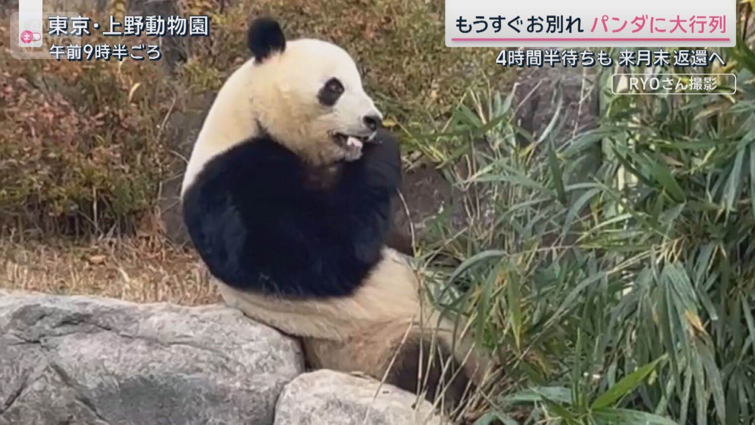 “中国客激減”データで如実に…依存度トップの県では景色が様変わり（テレビ朝日系（ANN）） - Yahoo!ニュース