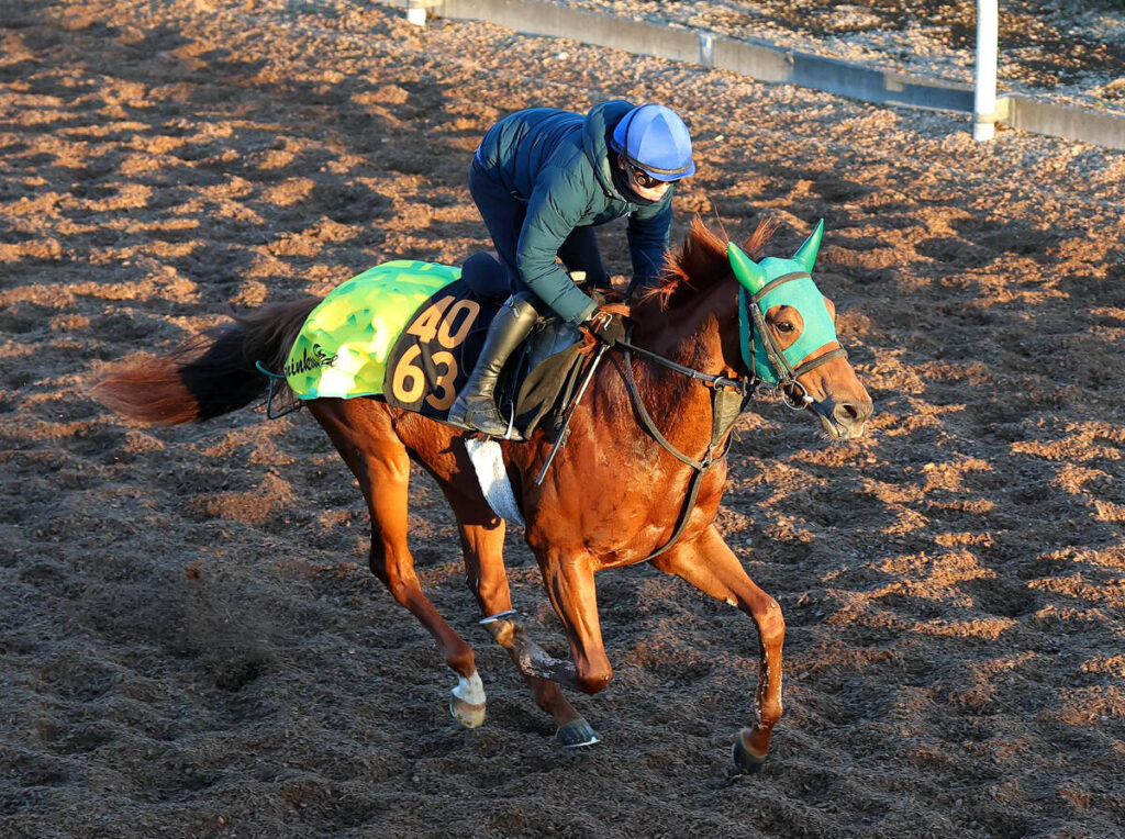 「ゲートは抜群に速い」ロイヤルファミリー役が有馬記念前日にデビューへ 陣営も自信のブレイヴソルジャー(馬トク報知) – Yahoo!ニュース 「ゲートは抜群に速い」ロイヤルファミリー役が有馬記念前日にデビューへ 陣営も自信のブレイヴソルジャー(馬トク報知) - Yahoo!ニュース
