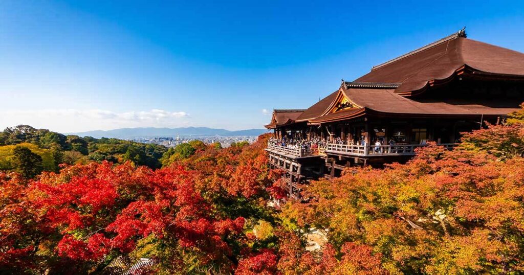 1泊5000円台！「中国人観光客激減に日本人歓喜」…宿泊税は根拠失う「もはやホテルいじめだ」日本国民への増税 - Yahoo!ニュース