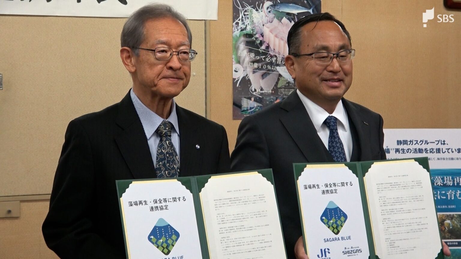 磯焼けで消失した藻場の再生に向け協定締結 静岡ガスと対策推進協議会、漁協=静岡(静岡放送(SBS)) – Yahoo!ニュース 磯焼けで消失した藻場の再生に向け協定締結 静岡ガスと対策推進協議会、漁協=静岡(静岡放送(SBS)) - Yahoo!ニュース