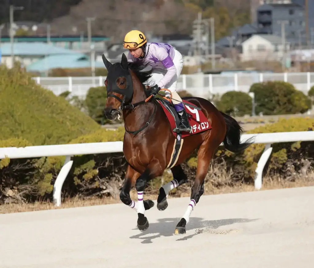 【高知競馬　大みそか発走　高知県知事賞】唯一の遠征馬・オディロン　確かな実績で勝算あり - スポニチ Sponichi Annex ギャンブル