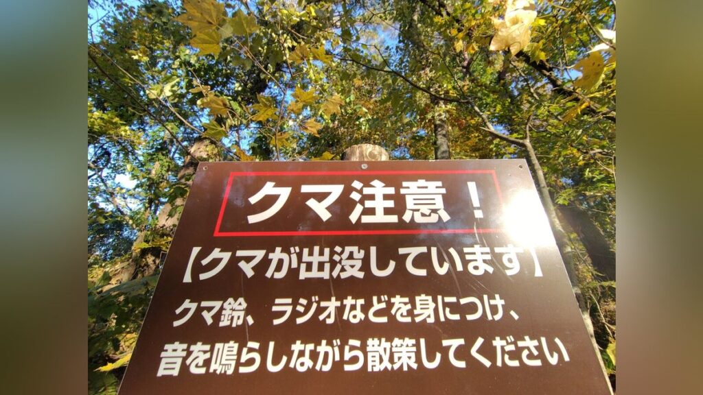 クマがＪＲ東海道線の列車と接触？線路脇に死骸…静岡の２市で２４～２５日に目撃の個体と同一か - 読売新聞オンライン