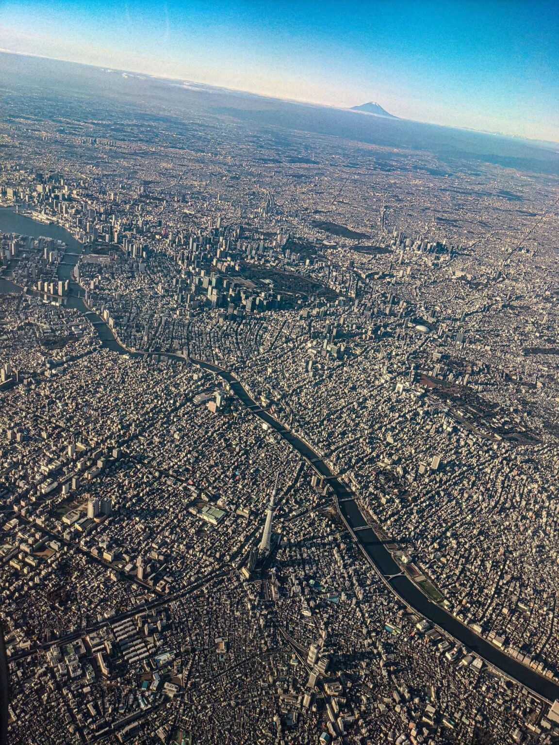 東京の規模と大きさ（4200万人）